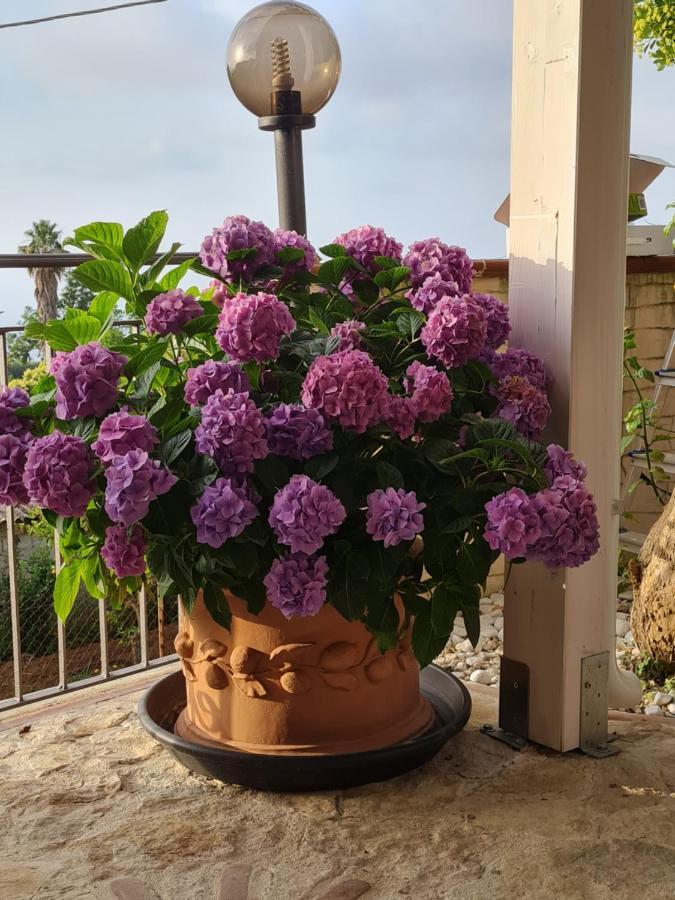 B&B La Casa Di Martina แซมโบรเน ห้อง รูปภาพ