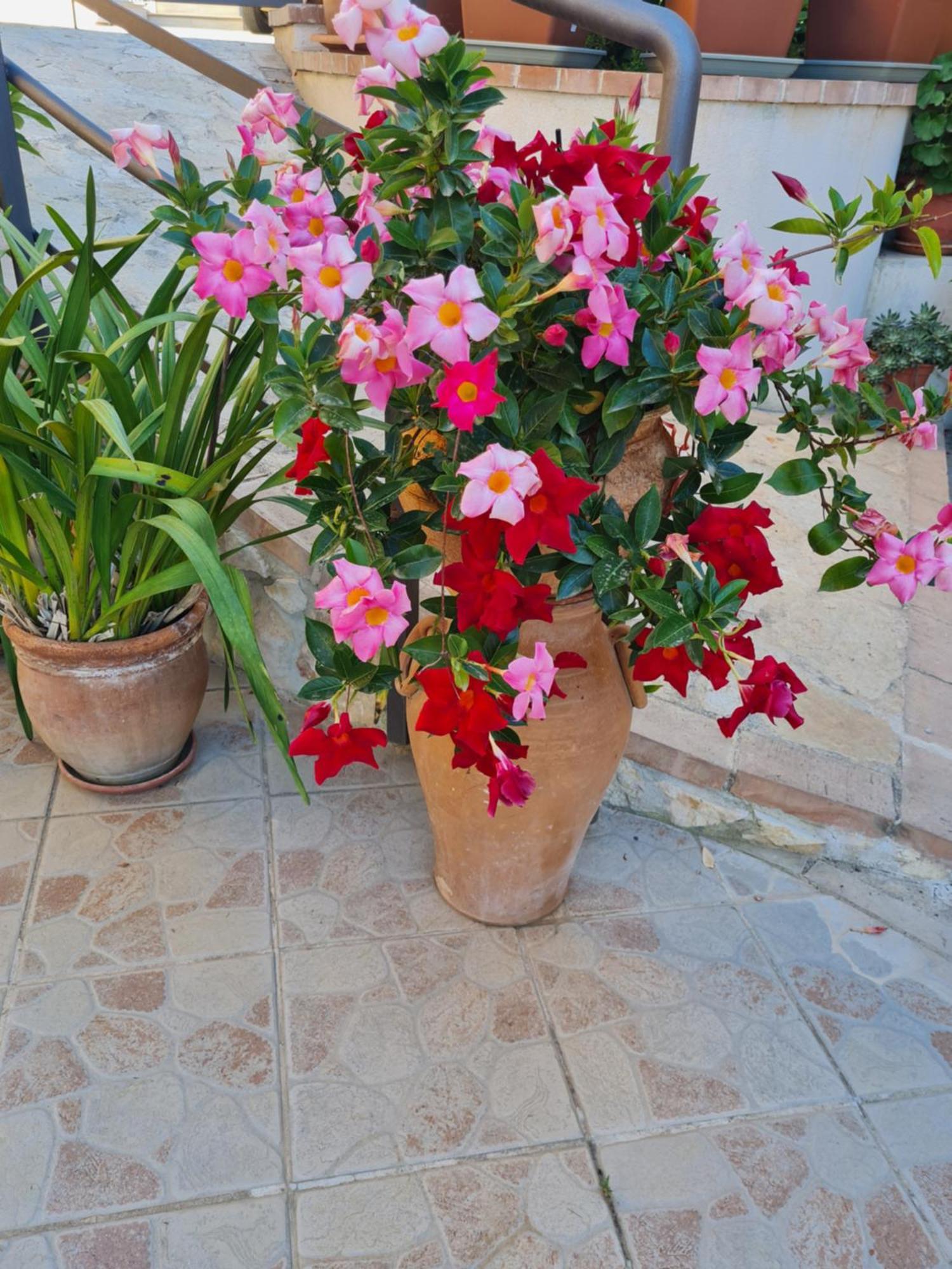 B&B La Casa Di Martina แซมโบรเน ภายนอก รูปภาพ
